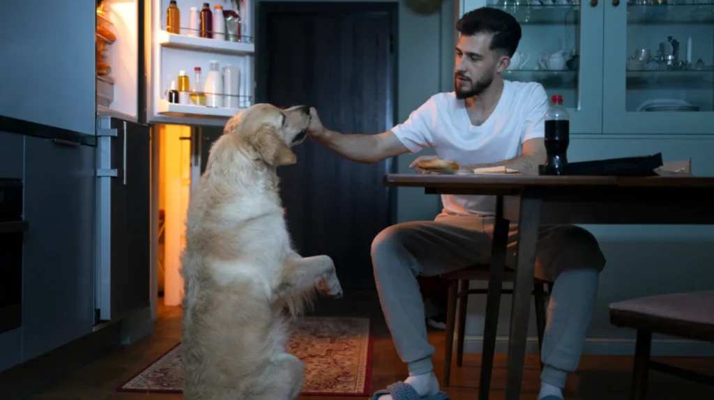 Man feeding dog in kitchen during nighttime routine.