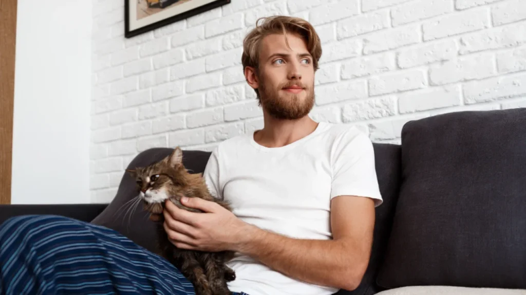 Man petting cat on couch in cozy room.