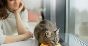 a girl sitting with the cat