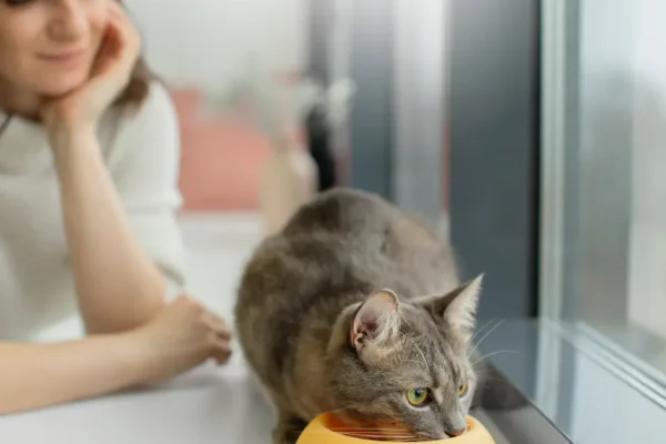 a girl sitting with the cat