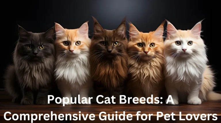 Popular Cat Breeds: A Comprehensive Guide for Pet Lovers