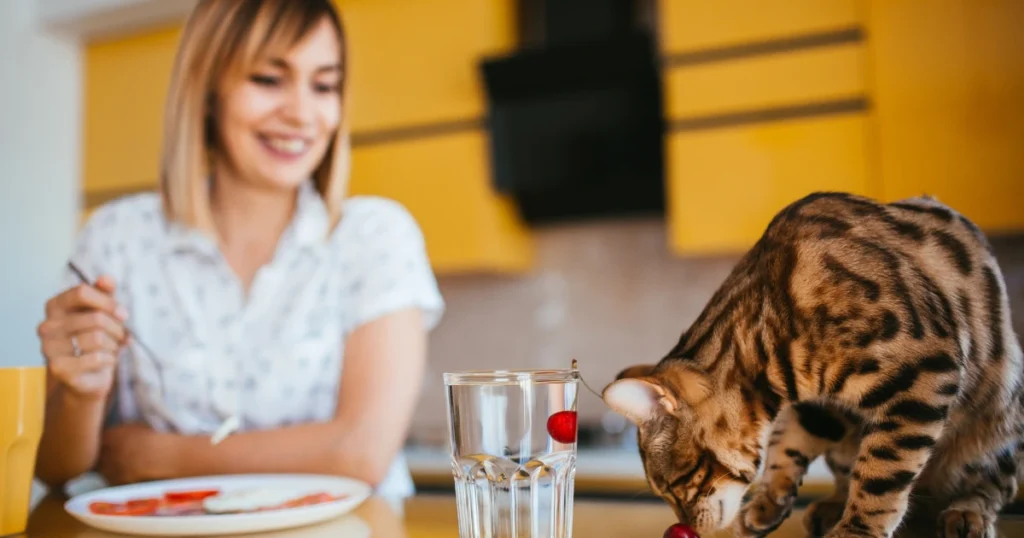 girl is sitting with the cat on table 