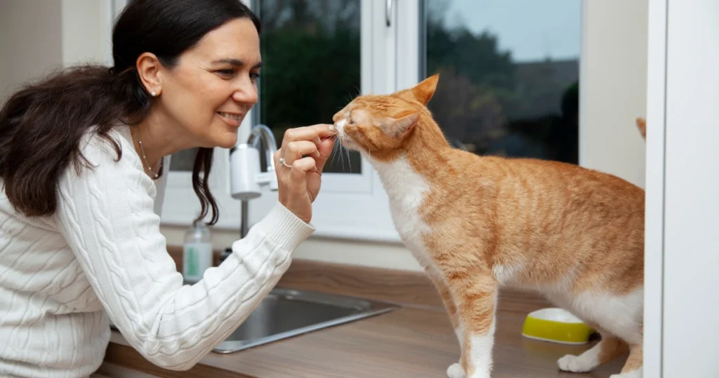 woman is feeding cat in the house